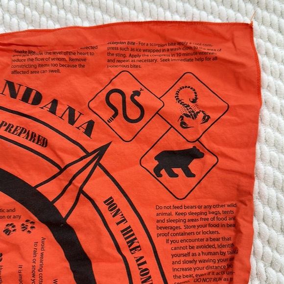 Set of four bandanas - two Disney, one Thomas the Train, one Survival Tips - Picture 15 of 16